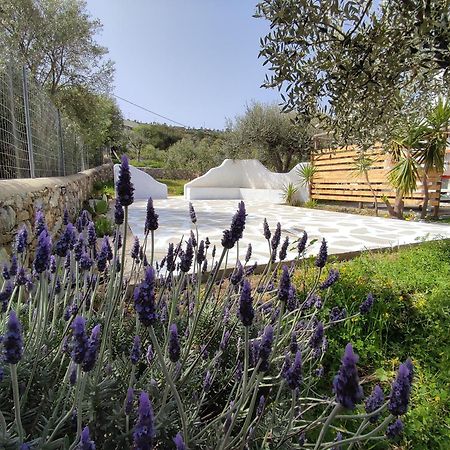 Il Canto Delle Cicale Agia Marina  Exterior foto